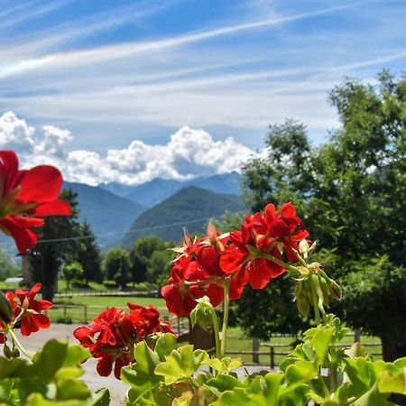 Albergo Ristorante Innocenti Ardenno ภายนอก รูปภาพ
